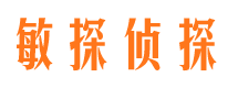 武进市侦探公司